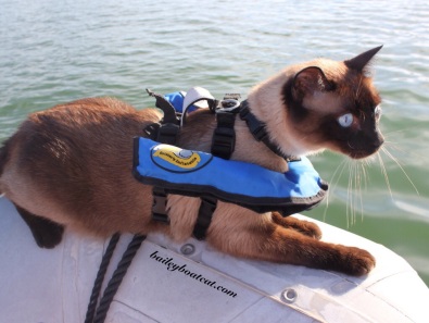 Critter's Inflatable life jacket